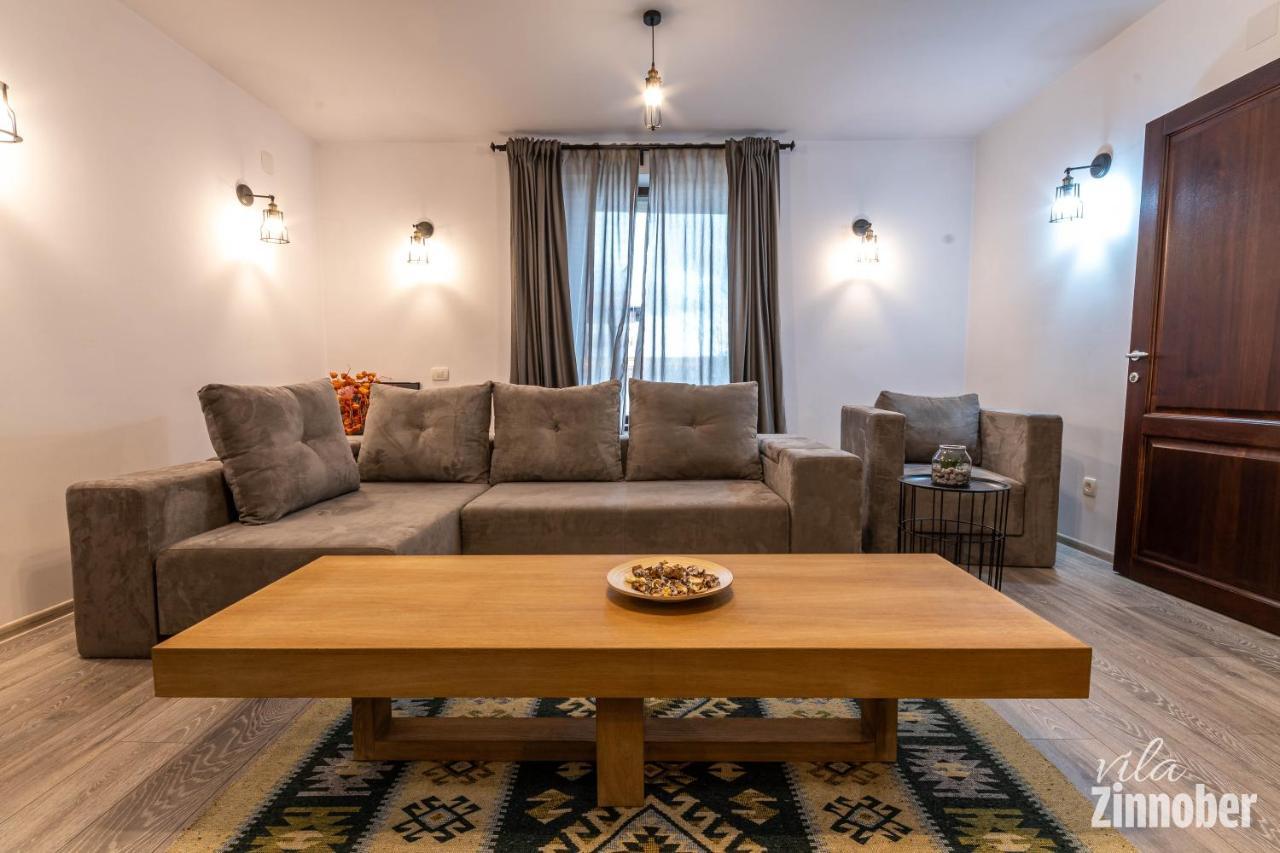 Vila Zinnober Braşov Exterior foto