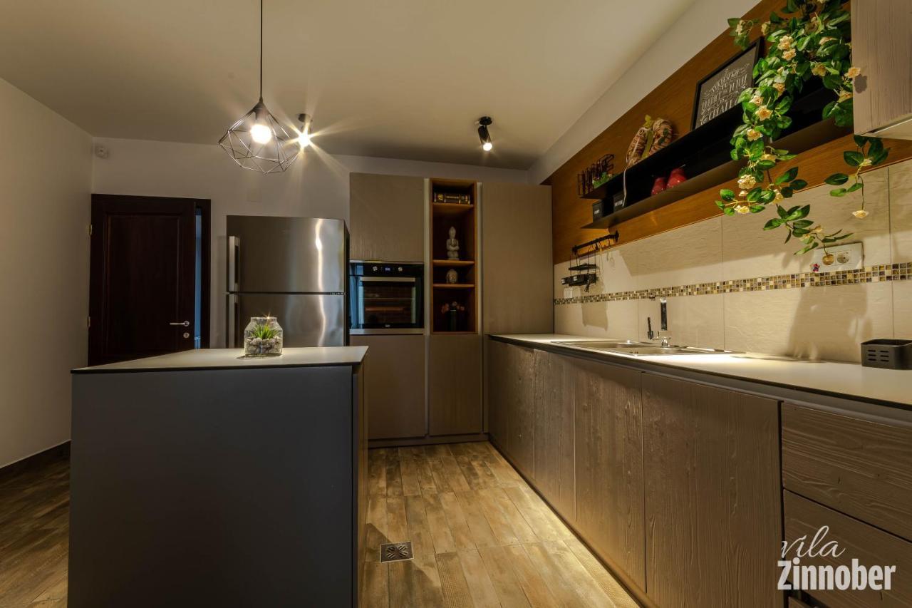 Vila Zinnober Braşov Exterior foto
