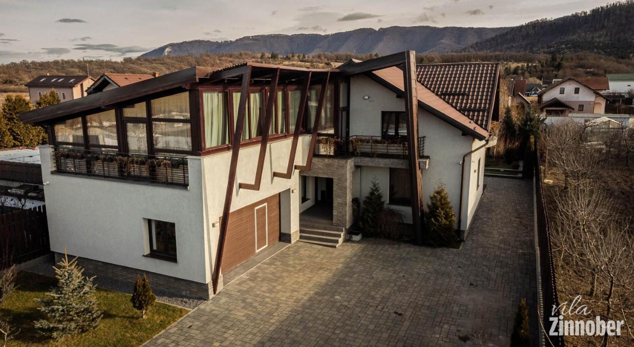 Vila Zinnober Braşov Exterior foto