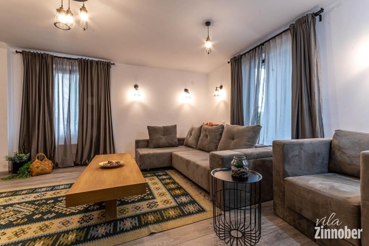 Vila Zinnober Braşov Exterior foto