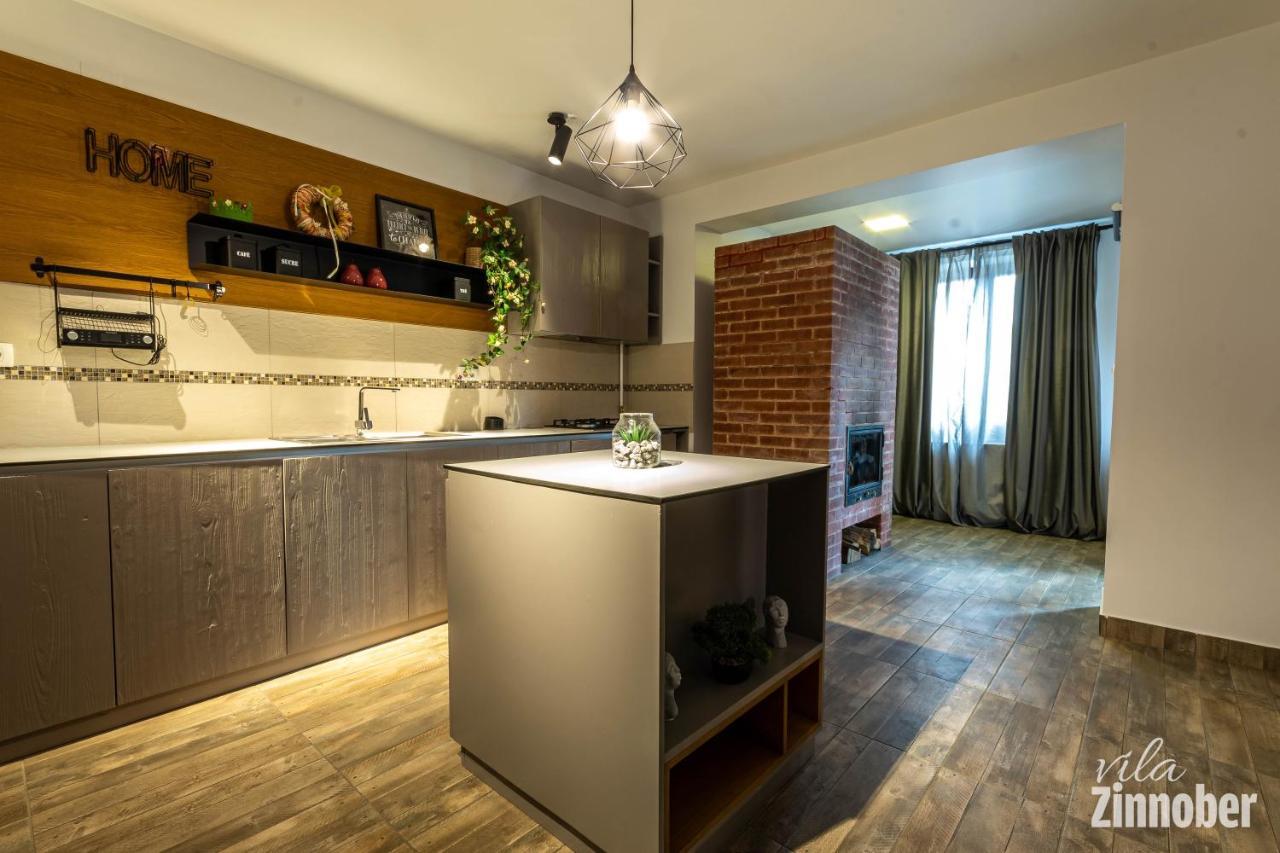 Vila Zinnober Braşov Exterior foto